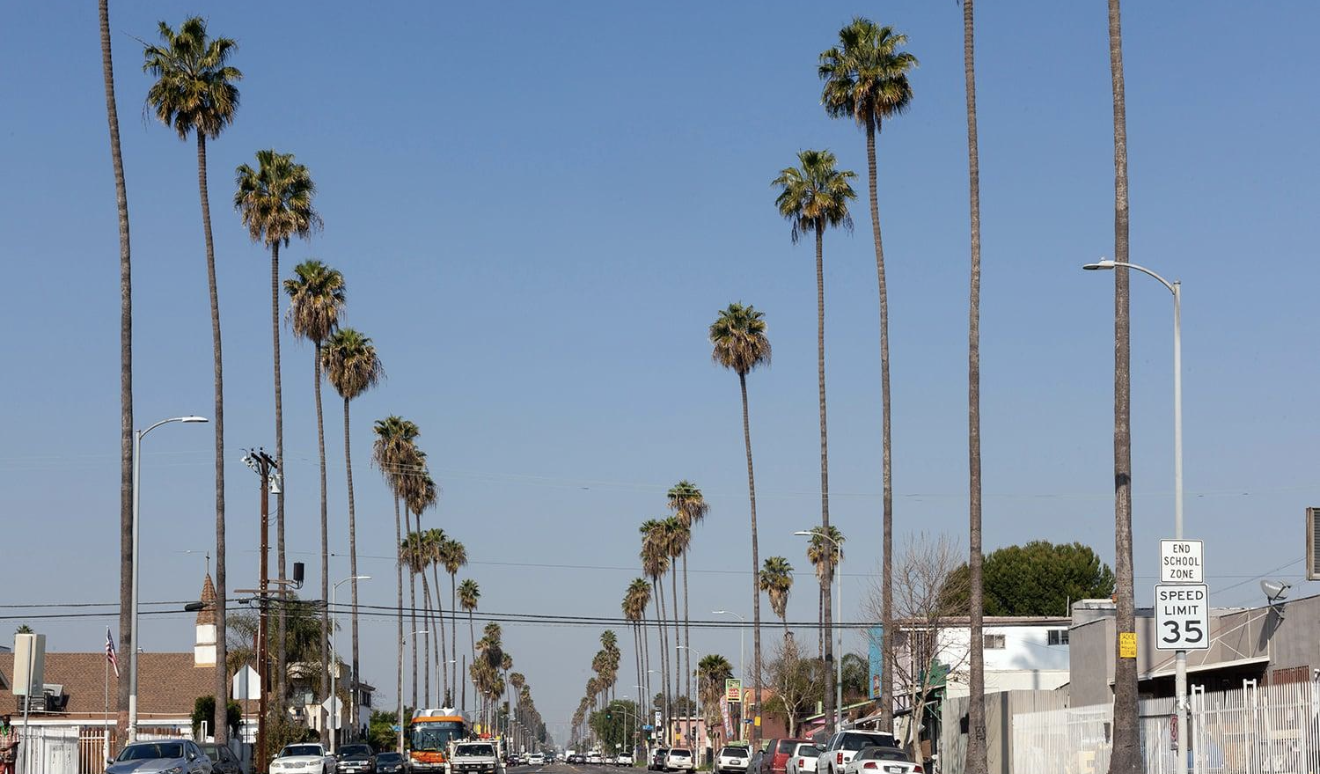 South Central South Central